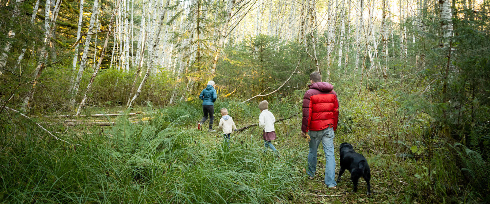 Harvest Your Own Christmas Tree GoCamp
