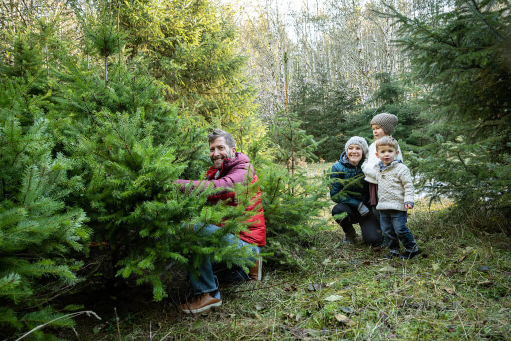 Harvest Your Own Christmas Tree GoCamp