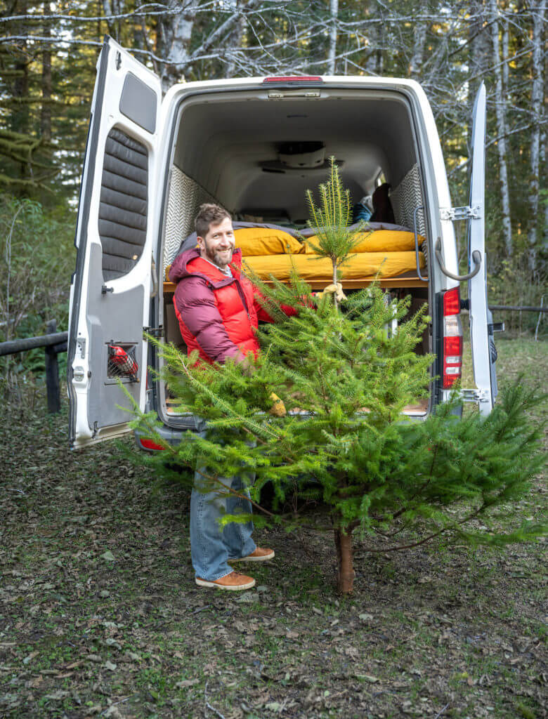 Harvest Your Own Christmas Tree GoCamp